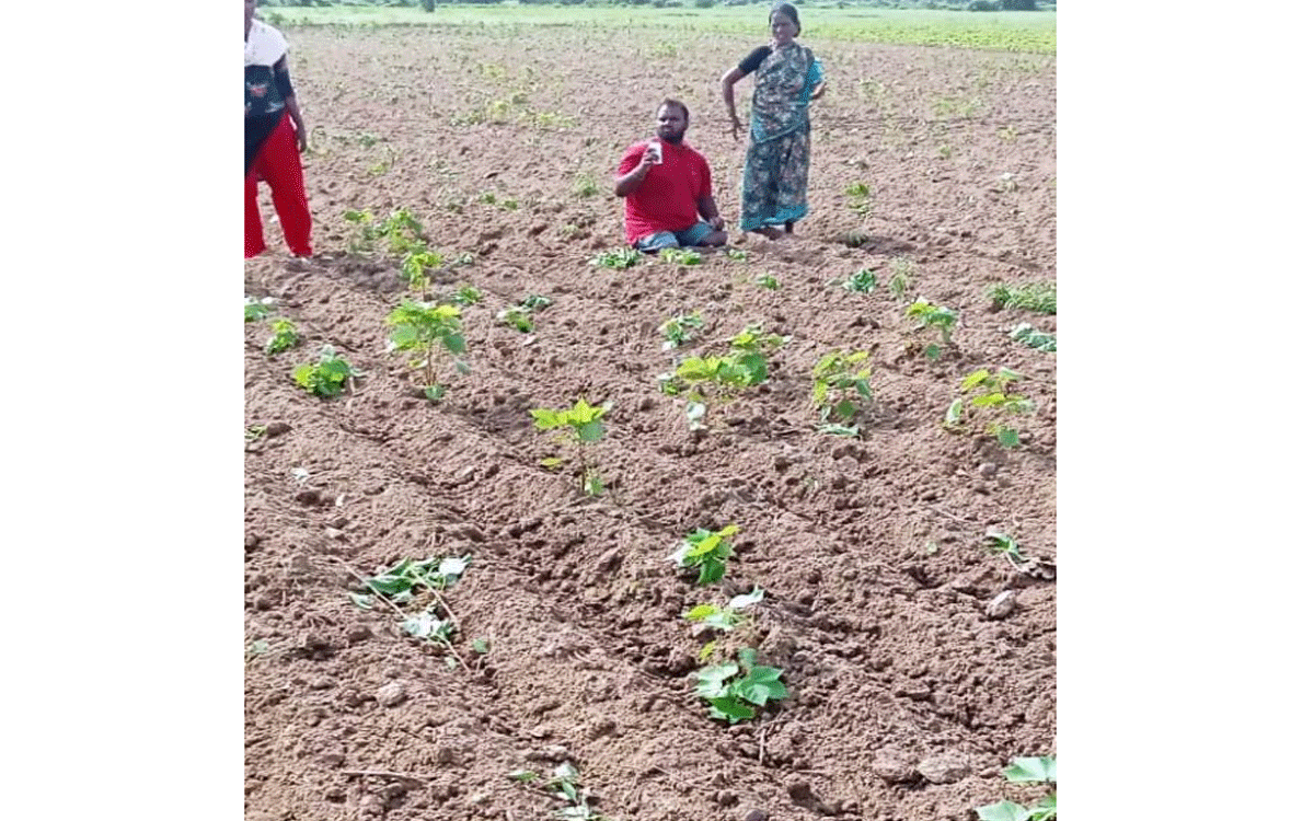 Karepalli : గోవింద్‌తండాలో భూ వివాదమై పత్తి పంట ధ్వంసం