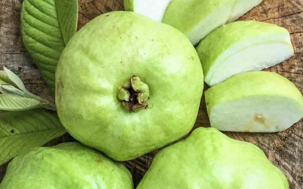 Guava