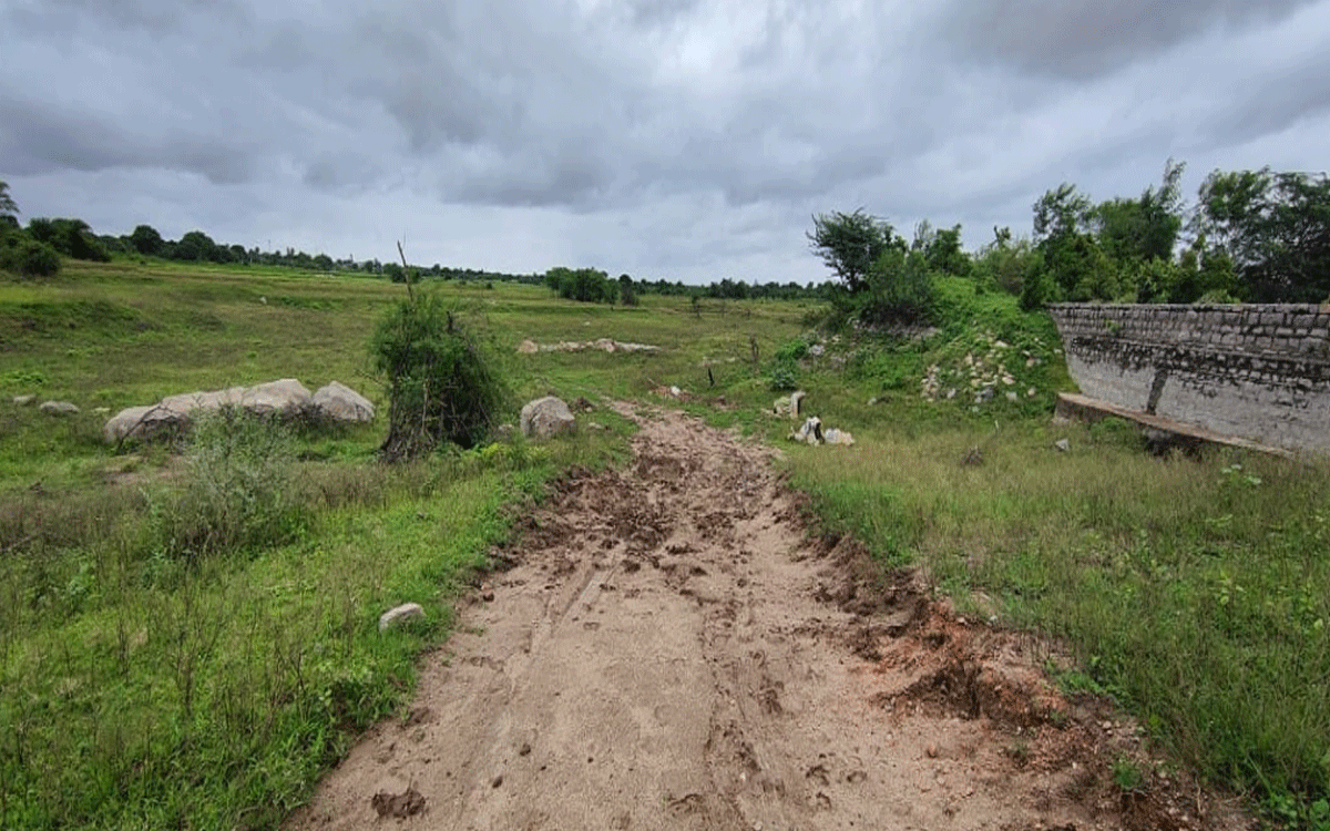 Rajapeta : రాజాపేట చెరువుల్లోకి చుక్కనీరు రాలే