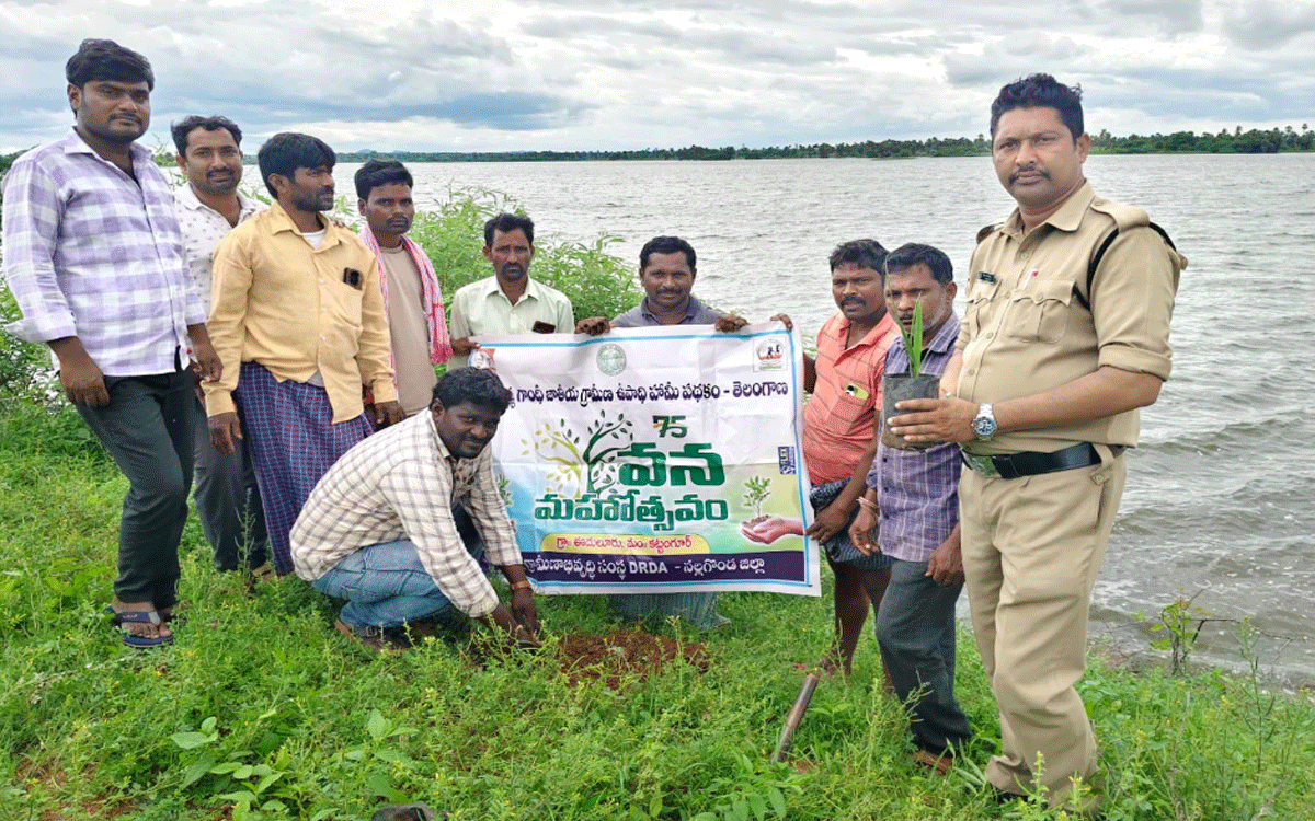 Kattangur : ‘ఈత చెట్ల పెంపకంతో గీత కార్మికలకు ఉపాధి’