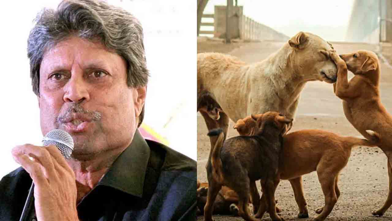 Kapil Dev | అధికారులూ జాలి చూపండి.. వీధి కుక్కలకు మంచి జీవితం ఇవ్వండి..!