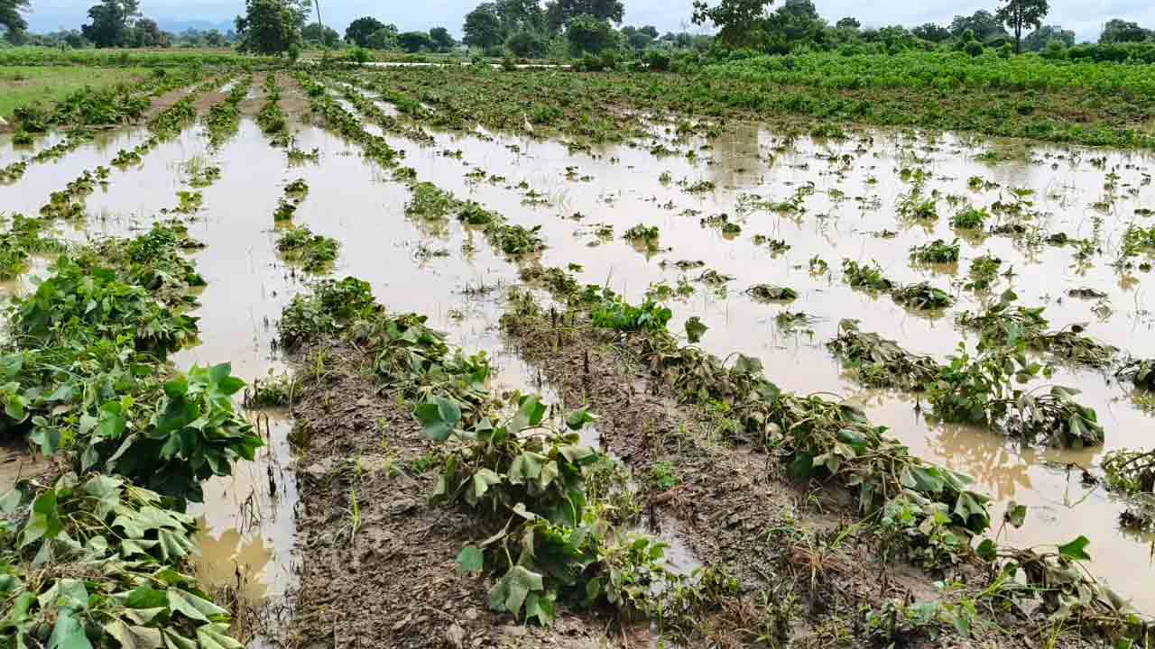 Karepalli 4