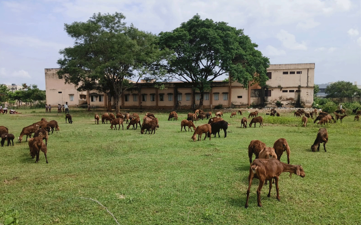 Karepalli : ప్ర‌హ‌రీ లేని కారేప‌ల్లి మోడ‌ల్ స్కూల్‌.. ఆక‌తాయిల చేష్ట‌ల‌తో భ‌యాందోళ‌న‌లో విద్యార్థినులు