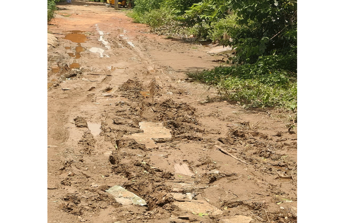 Karepalli : కారేపల్లిలో పారిశుధ్యం అస్తవ్యస్తం