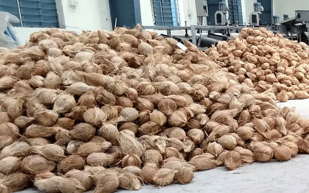 Karepalli : 7న కోటమైసమ్మ త‌ల్లి జాతరలో కొబ్బరికాయల అమ్మకానికి వేలం