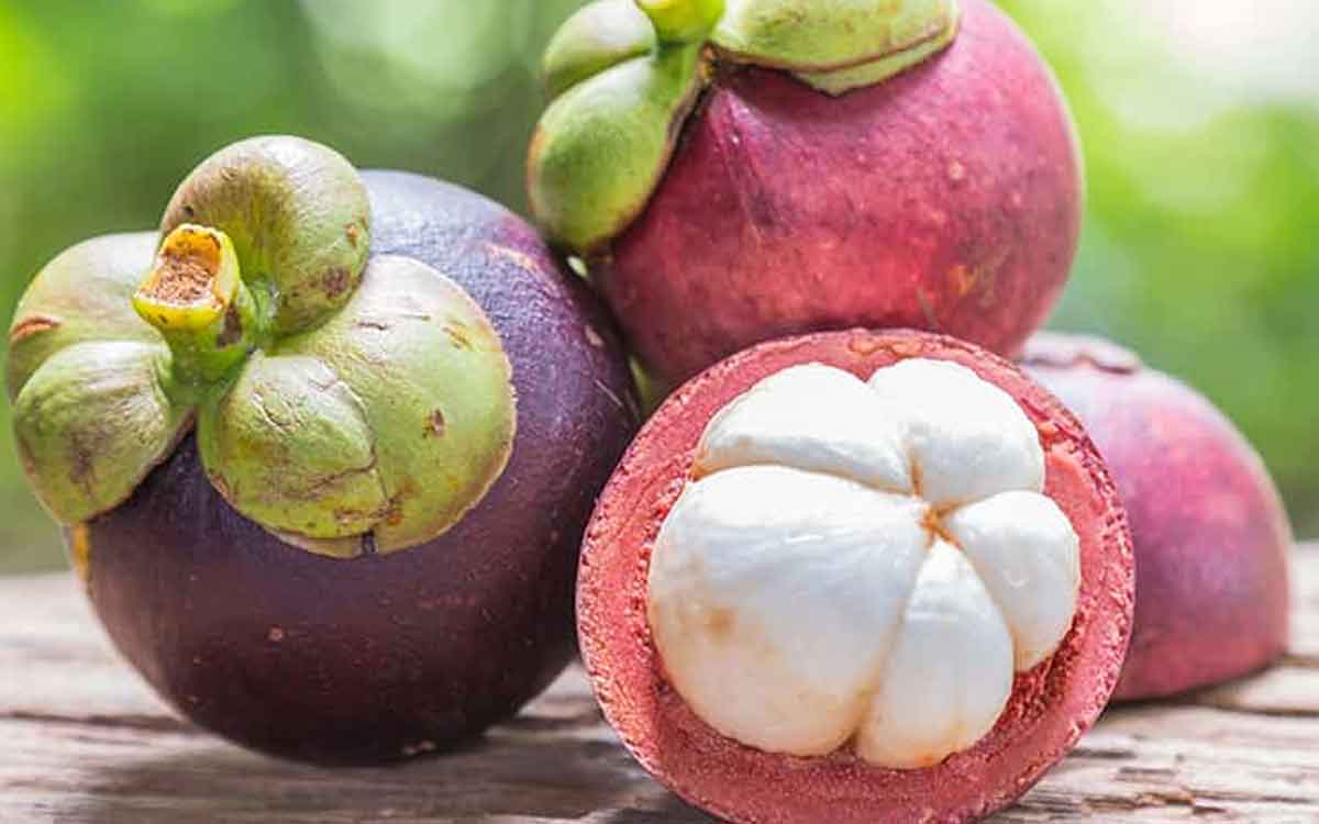 Mangosteen Fruit | ఈ పండ్లు మీకు ఎక్కడ కనిపించినా సరే.. విడిచిపెట్టకుండా తెచ్చుకుని తినండి.. ఎందుకంటే..?