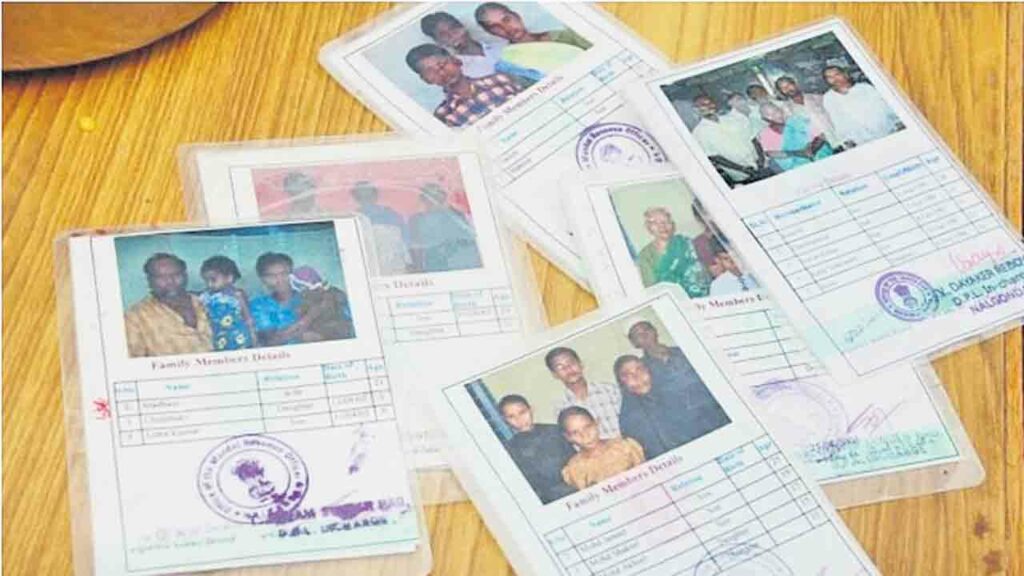 New Ration Cards