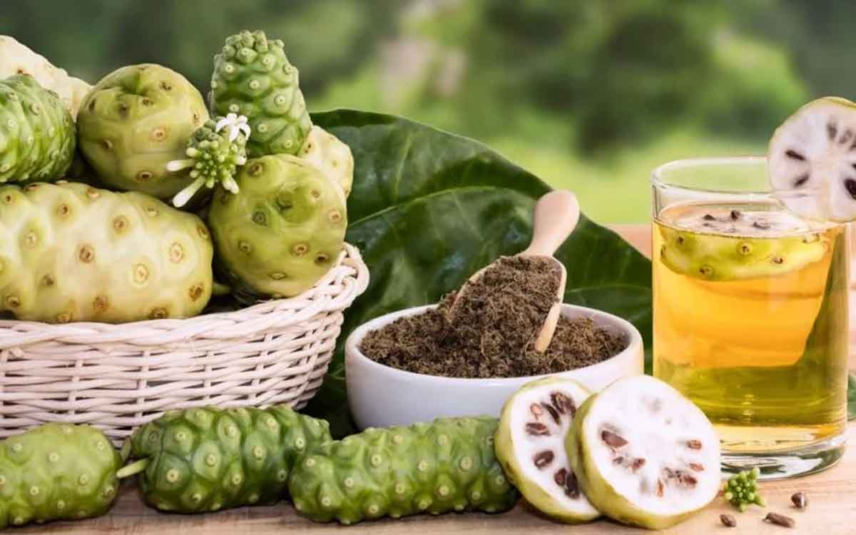 Noni Fruits | ఈ పండ్లు ఏమిటో.. ఇవి అందించే లాభాలు ఏమిటో తెలిస్తే.. ఆశ్చర్య‌పోతారు..!
