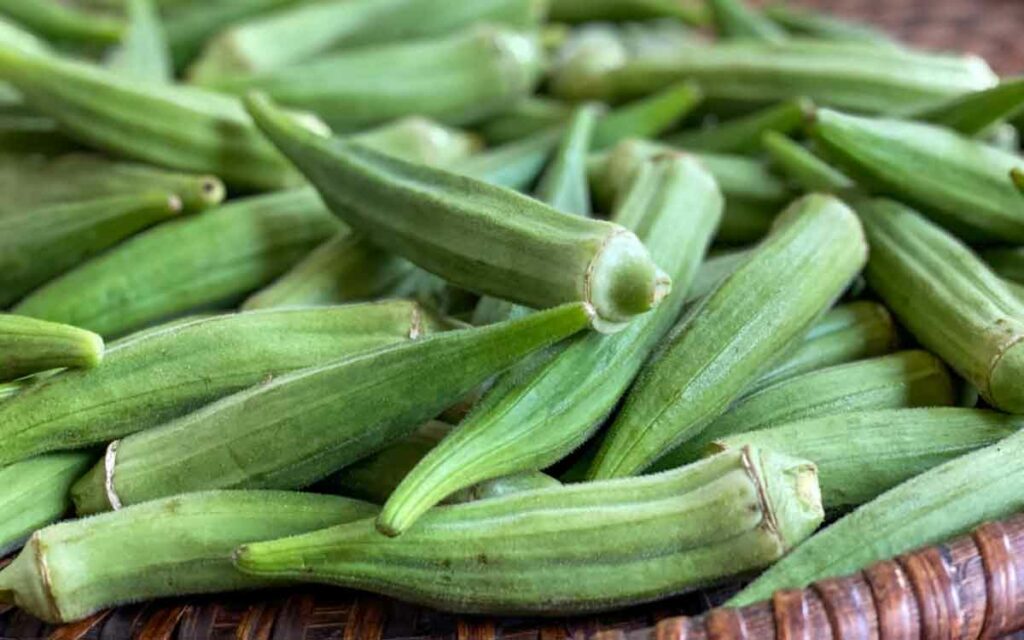 Okra