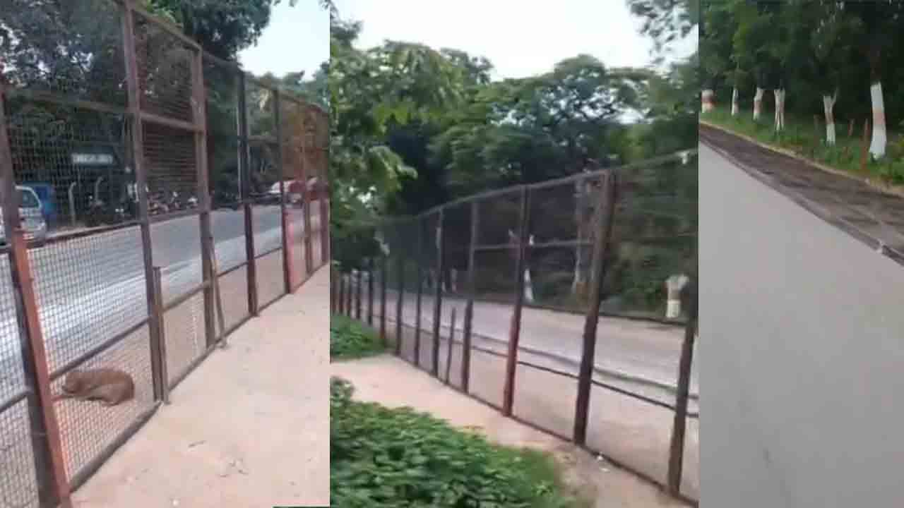 RS Praveen Kumar | విద్యాశాఖ మంత్రికి విశ్వ విద్యాలయం లోపలికి పోవాలంటే ఇంత భయమెందుకు?: ఆర్‌ఎస్‌ ప్రవీణ్‌ కుమార్‌