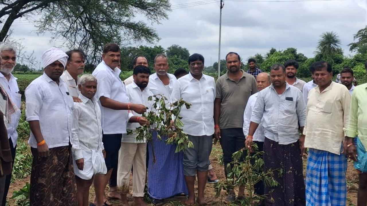 Mahesh Reddy | ఎకరాకు రూ.30వేలు పరిహారం అందించాలి : మాజీ ఎమ్మెల్యే మహేశ్రెడ్డి