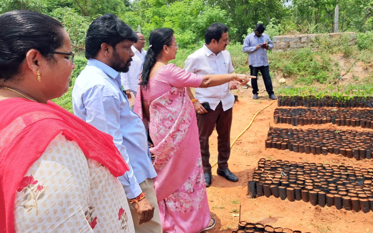 Chandampet : మొక్క‌లు నాటి ప‌చ్చ‌ద‌నం పెంచాలి : పీడీ శేఖర్ రెడ్డి