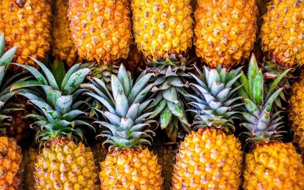 Pineapple