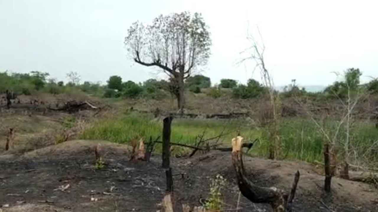 చట్టవిరుద్ధంగా గిరిజనేతరులకు పోడు పట్టాలు