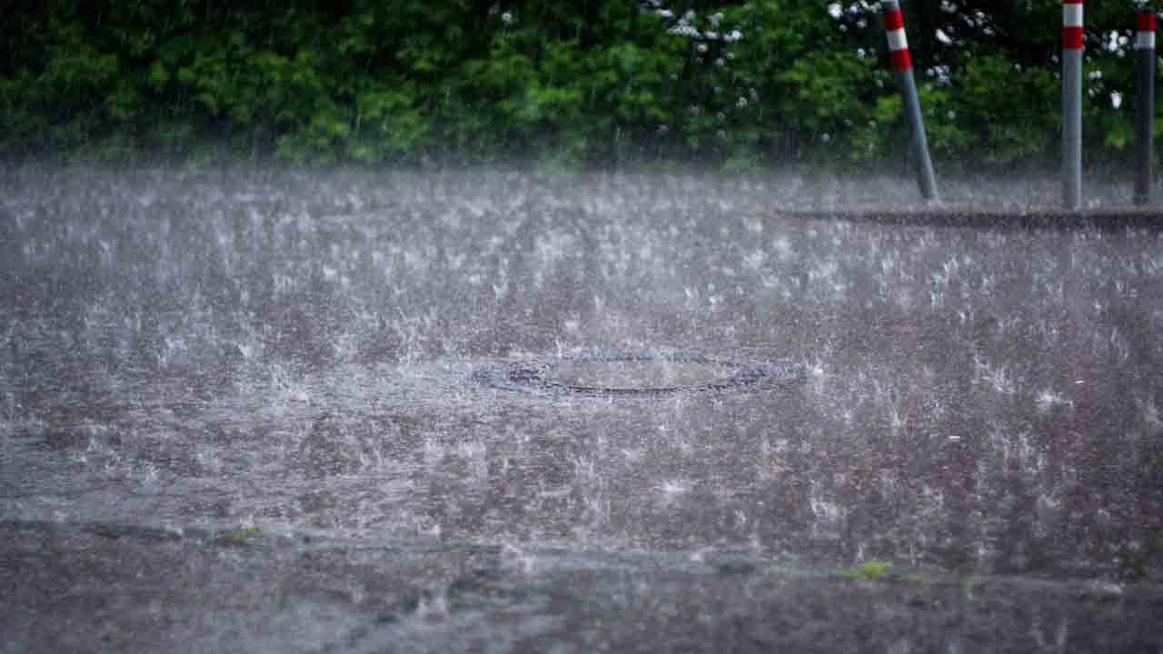 Warangal | వరంగల్‌లో దంచికొడుతున్న వాన.. ఉధృతంగా ప్రవహిస్తున్న వాగులు