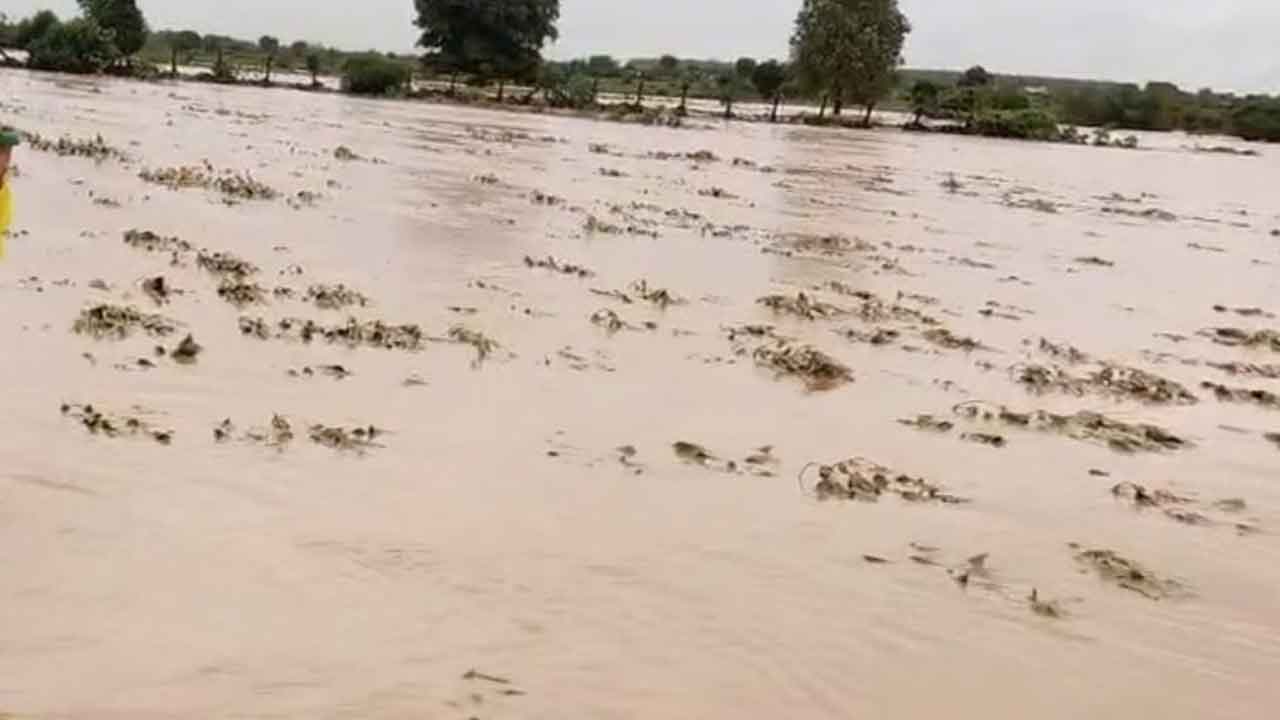 Nennela | పత్తి చేళ్లలో బురద నీరు.. వరి పొలాల్లో ఇసుక మేటలు