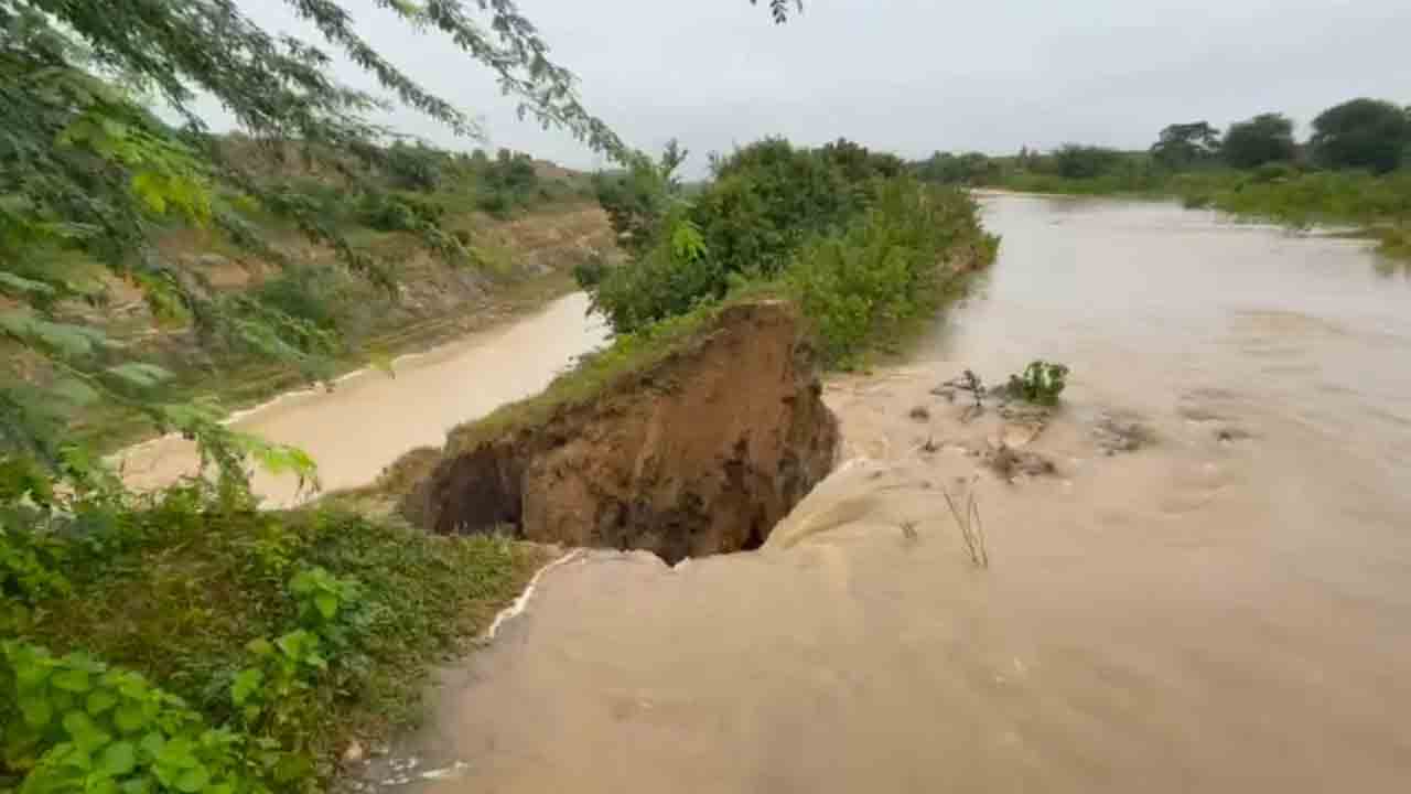 Narsapur | భారీ వరదలకు బుంగ పడిన రోడ్డు.. నీట మునిగిన వరి పంట