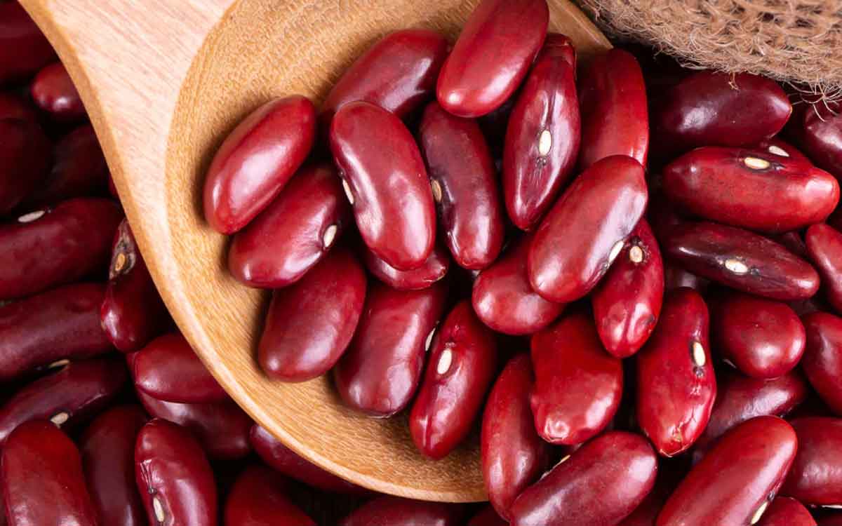 Rajma Seeds | నాన్ వెజ్ తిన‌లేని వారికి వ‌రం ఈ గింజ‌లు.. త‌ర‌చూ తింటే ఎన్నో లాభాలు..!