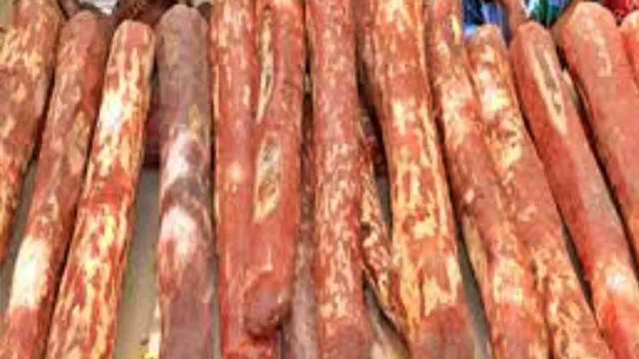 కడపలో మోస్ట్ వాంటెడ్ ఎర్రచందనం స్మగ్లర్ అరెస్టు