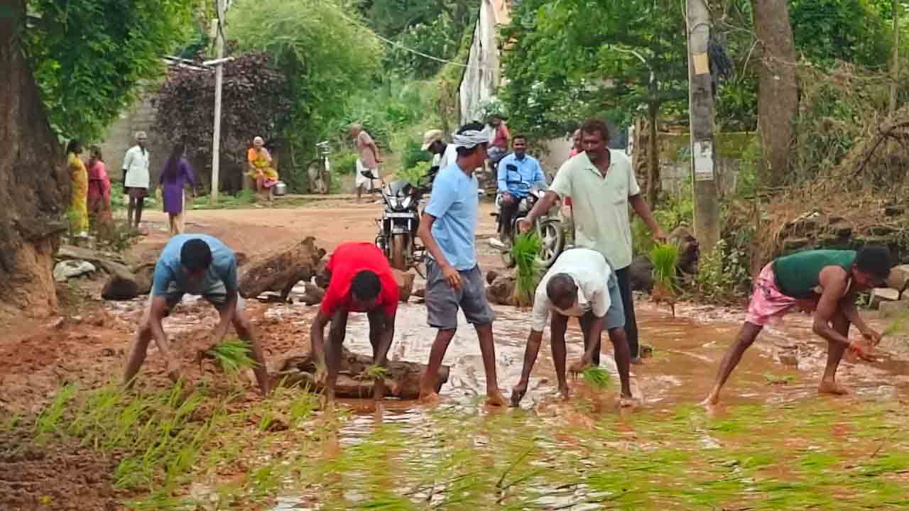 Rice Planting1