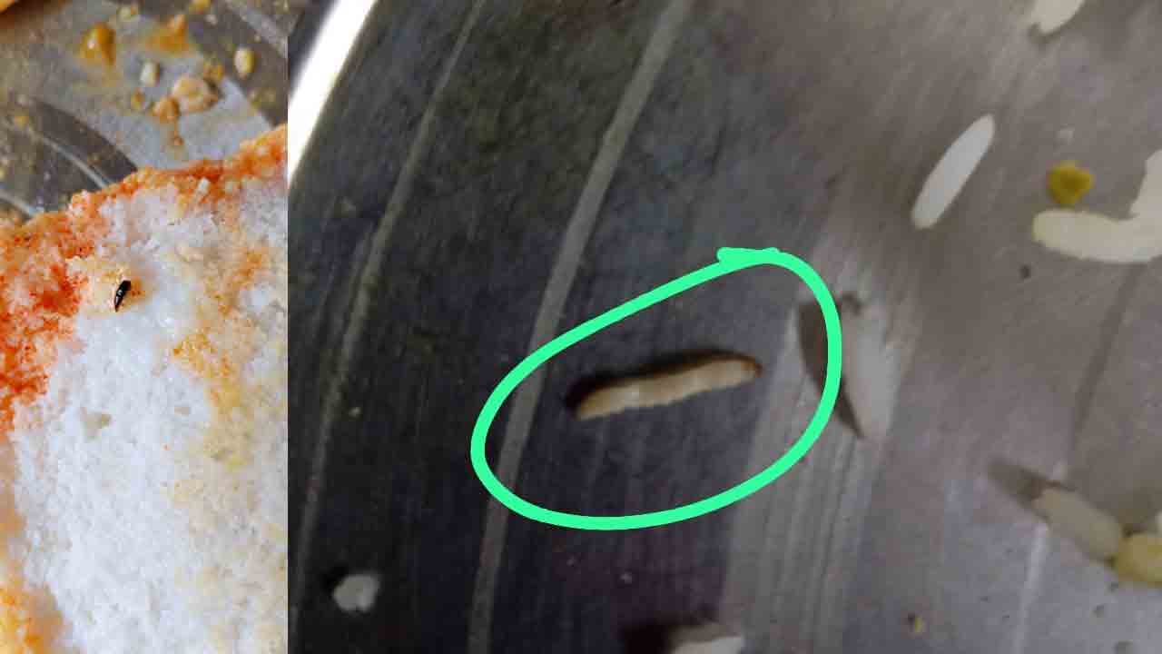 Hostel Students | ప్రభుత్వ హాస్టళ్లలో.. పురుగుల అన్నమే పరమన్నమా..?