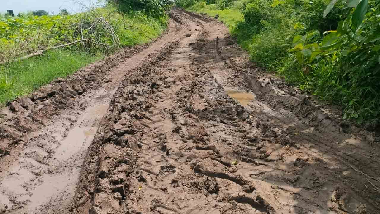 Julapalli | వాన పడితే ఆ నాలుగు గ్రామాలకు తప్పని తిప్పలు..
