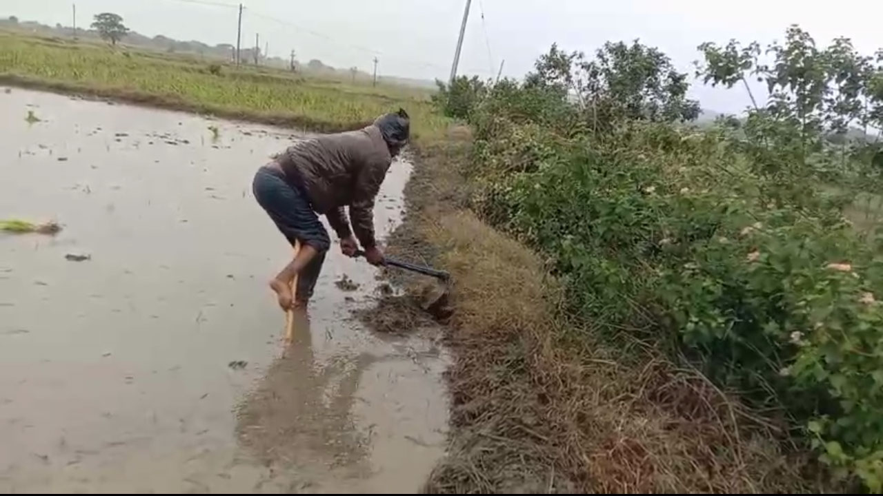 అంగ వైకల్యం ఉన్నా స్వశక్తిని నమ్ముకుని.. వ్యవసాయం చేస్తూ దివ్యాంగుడి జీవనం