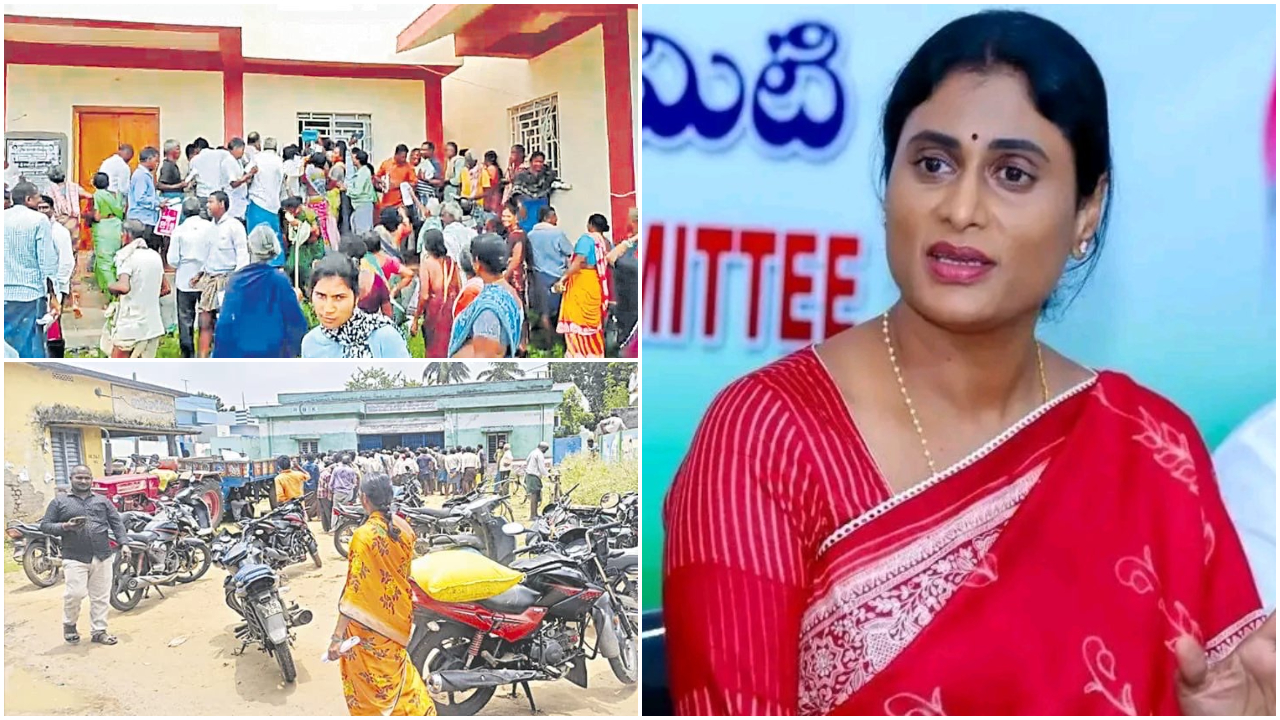 Urea Shortage | నిజంగా యూరియా కొరతనా.. అధికార పార్టీ నేతలు సృష్టిస్తున్న కృత్తిమ కొరతనా.. వైఎస్ షర్మిల ఫైర్