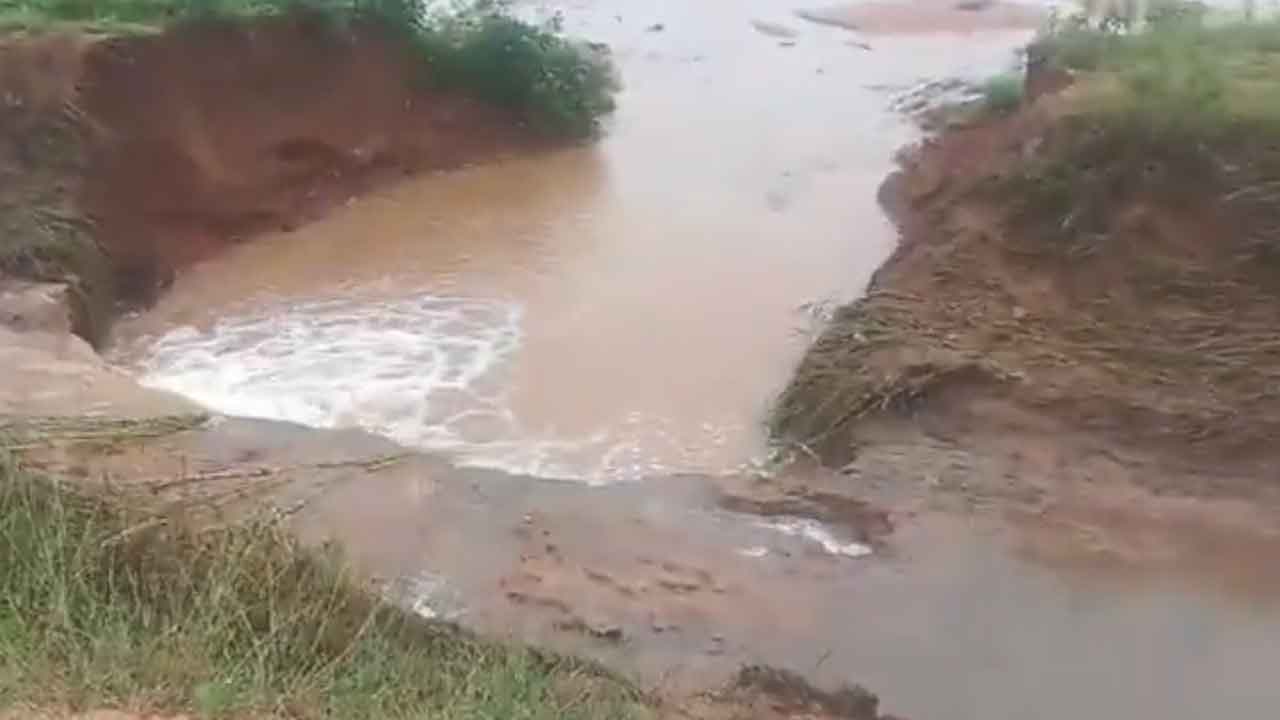 Singur left canal | సింగూరు ఎడమ కాల్వకు గండి..వృథాగా పోతున్న నీరు : వీడియో