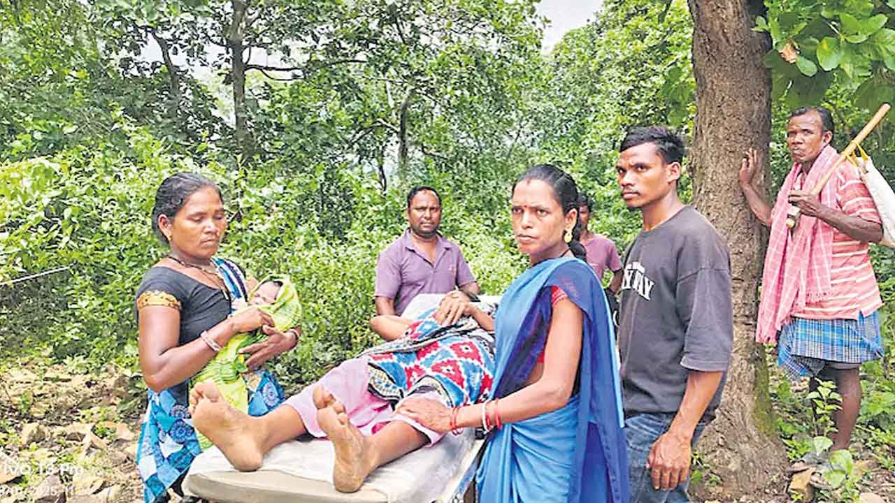 5 కి.మీ. మోసుకెళ్లినా దక్కని ప్రాణం