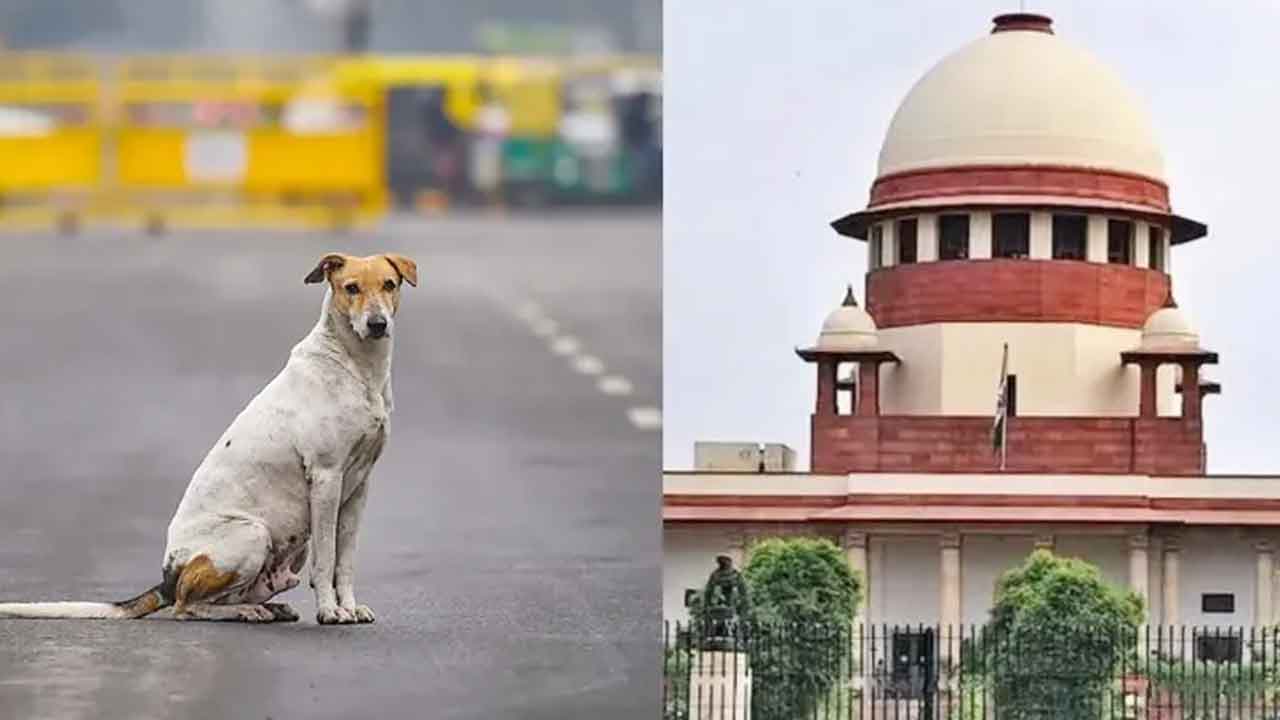 అధికారుల వల్లే ఈ పరిస్థితి