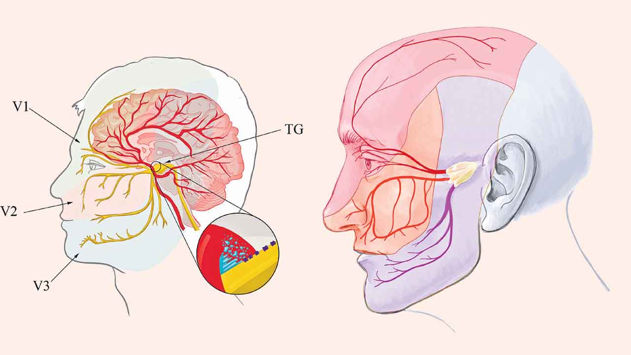 సూసైడల్‌ డిసీజ్‌కు అరగంటలో చికిత్స!