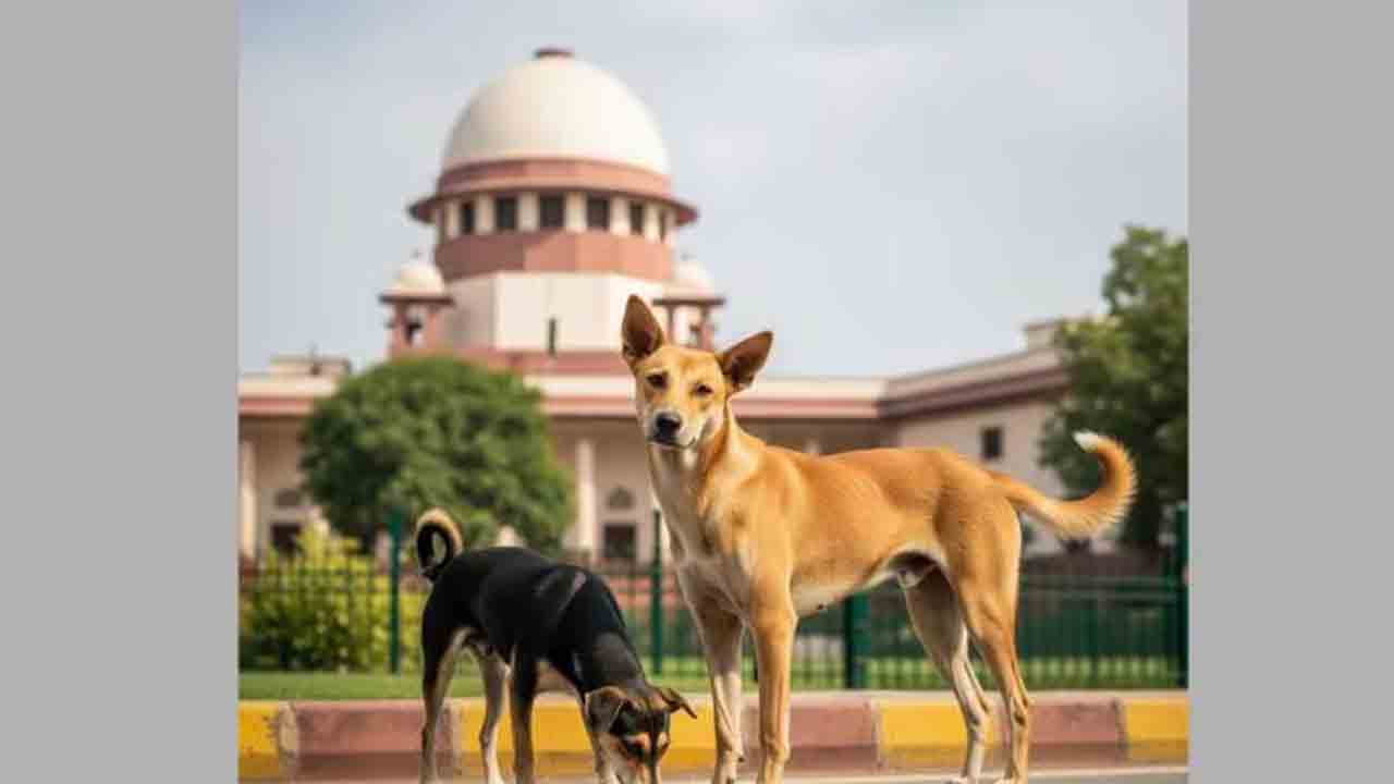 Supreme Court | వీధి కుక్కల తరలింపుపై రేపే తీర్పు.. అత్యున్నత న్యాయస్థానం ఏం చెబుతుందో..!