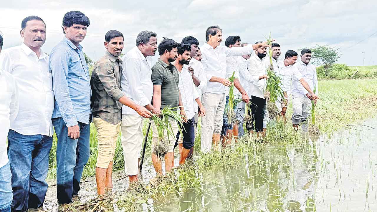 నీట మునిగిన పంటలకు.. ఎకరాకు రూ.50వేల పరిహారం ఇవ్వాలి