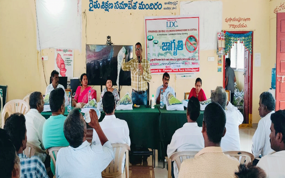 Madhira : పత్తిలో గులాబీ రంగు పురుగు నివారణకు సస్యరక్షణ చర్యలు చేపట్టాలి : ఏడీఏ స్వ‌ర్ణ విజ‌య్ చంద్ర‌