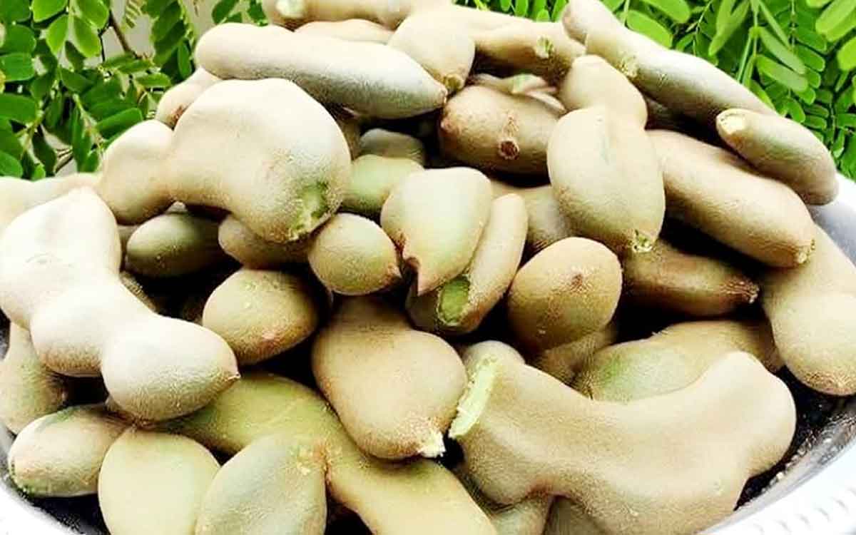 Unripe Tamarind Fruit | మీరు త‌ర‌చూ చేసే వంట‌ల్లో చింత పండు క‌న్నా చింత కాయ‌ల‌నే ఎక్కువ‌గా వాడండి.. ఎందుకంటే..?