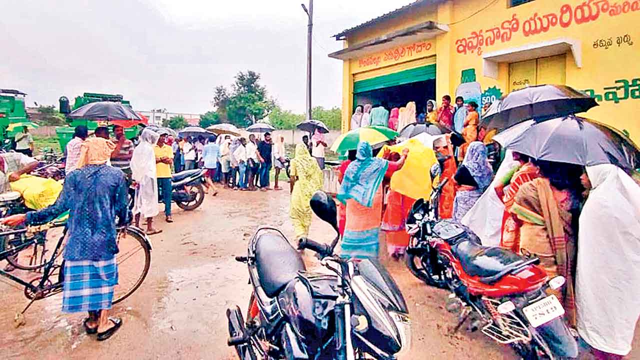 యూరియా ఏదయా?