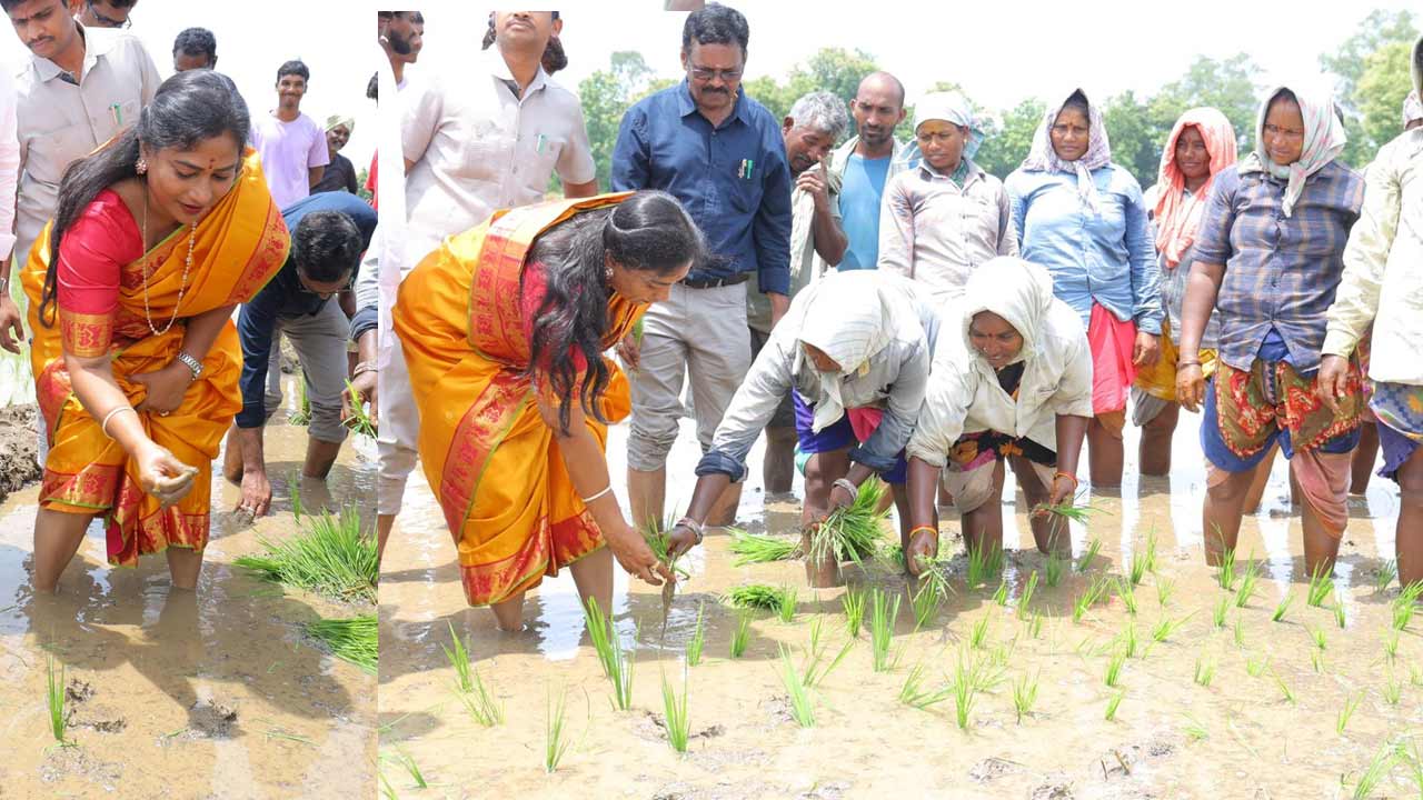 పొలంలో దిగి వరినాట్లు వేసిన ఏపీ హోంమంత్రి