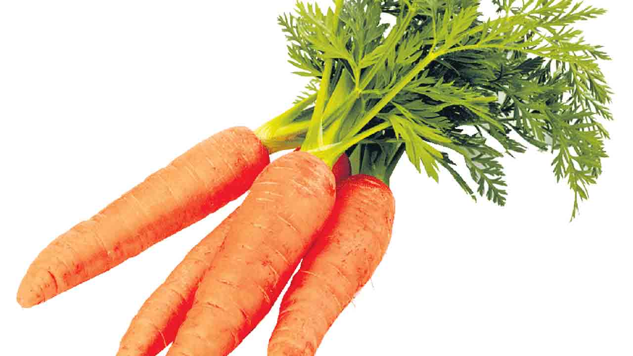 ఆరోగ్యాన్ని పెంచుదాం