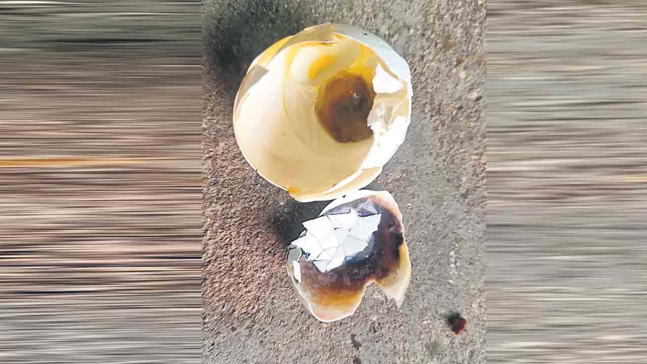 గాంధీనగర్‌లో కుళ్లిపోయిన కోడిగుడ్ల కలకలం