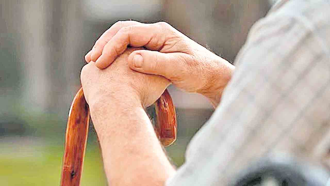 ఇది నా కష్టార్జితం