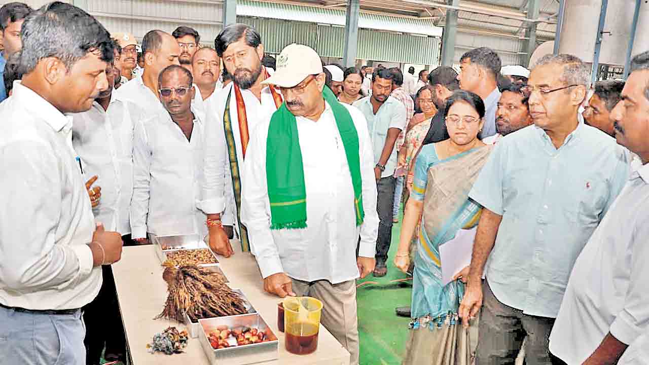 ఆ దేవుడే ఆయిల్‌పామ్‌ ఫ్యాక్టరీ తెచ్చాడు