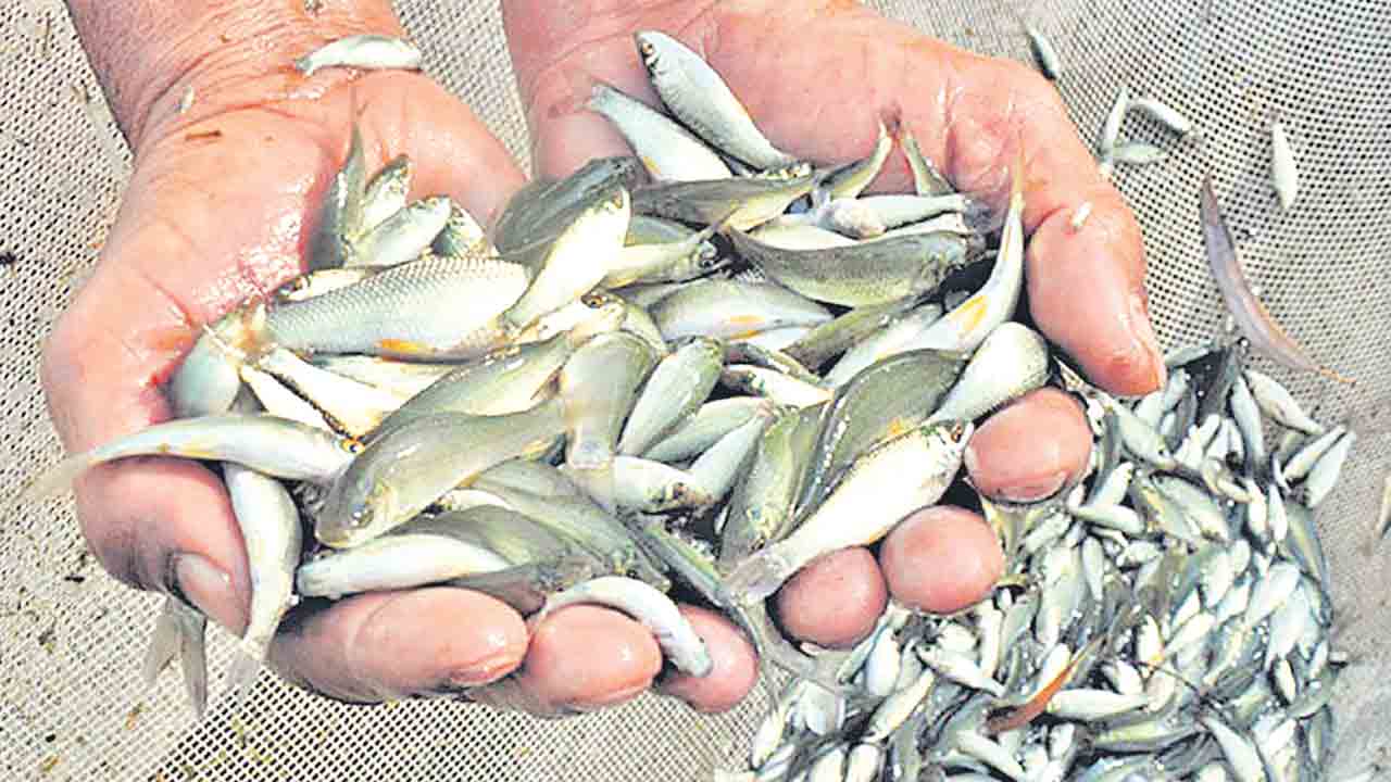 ఎన్నికల కోడ్‌తో పనులకు బ్రేక్‌