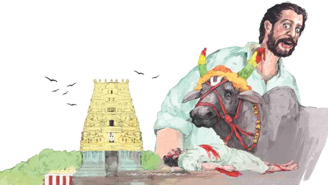 తోడపెద్దు