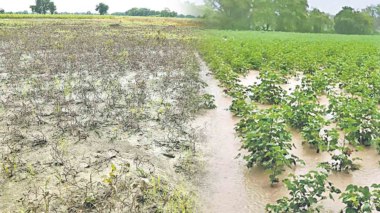 నష్టపహారం ఎప్పుడో ?
