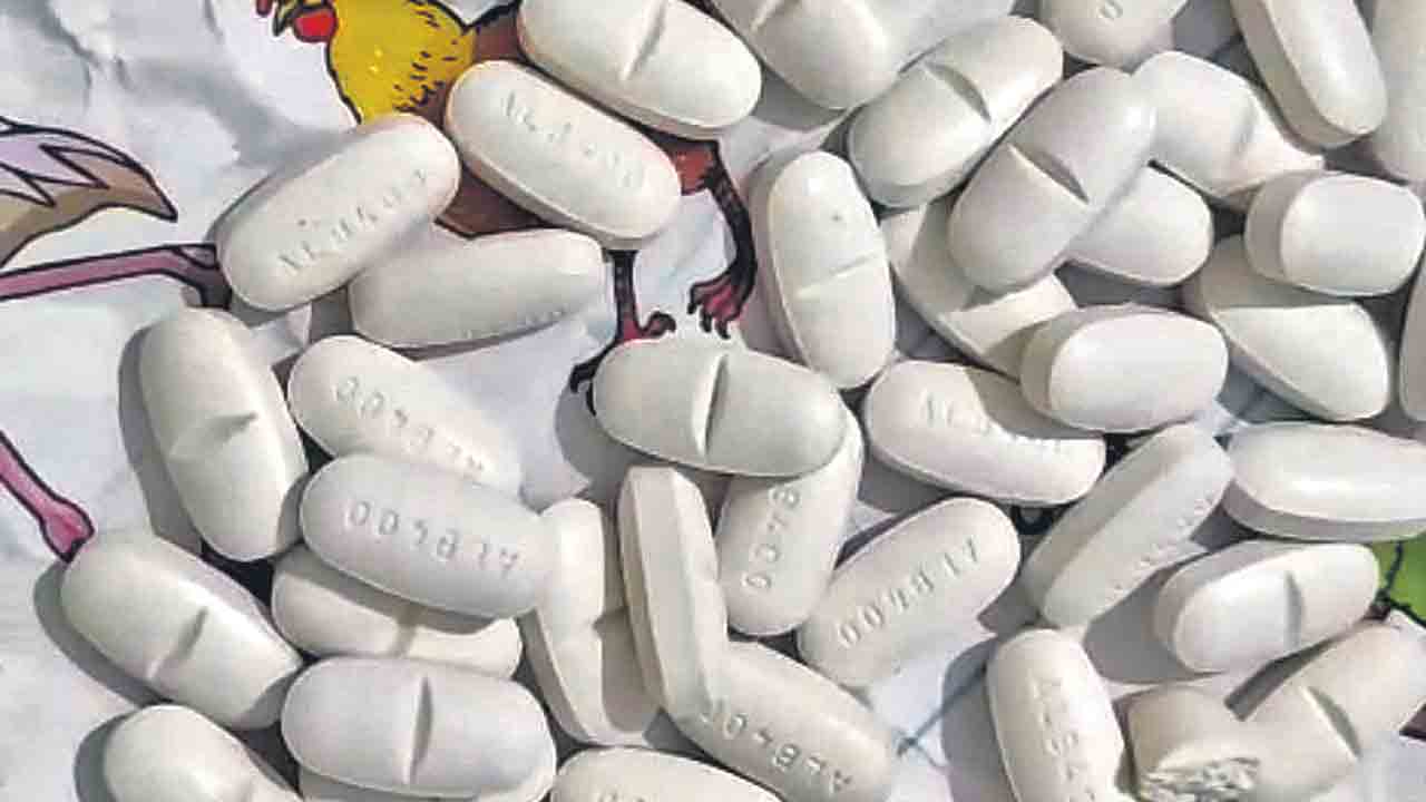 మేధాలో మత్తు దందా