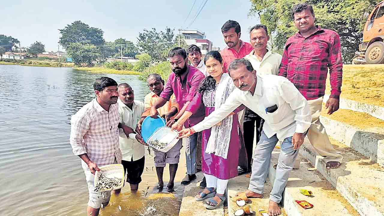 చేపపిల్లలు చెప్తున్న చేదు నిజాలు