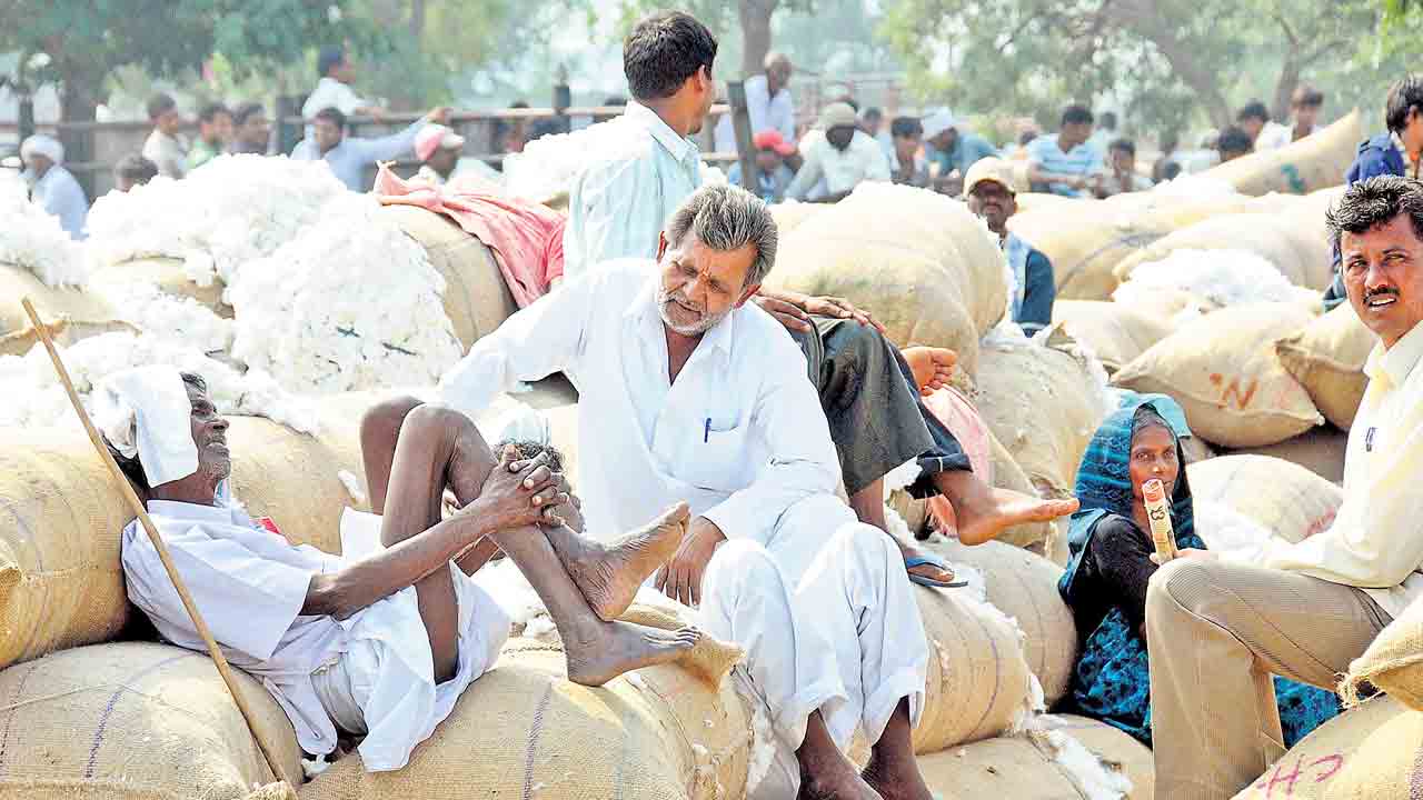 MSP For Cotton | తెల్ల బంగారం తెల్లబోయింది!.. పత్తి రైతుకు దక్కుతున్నది మద్దతు ధరలో సగమే!