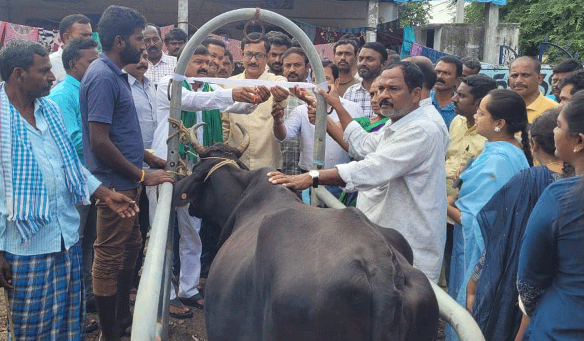 Veterinary camp | పశువైద్య శిబిరాలను సద్వినియం చేసుకోవాలి.. జిల్లా పశువైద్యాధికారి లింగారెడ్డి