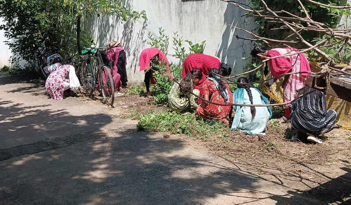 Peddaplly | దోమలు వృద్ధి చెందకుండా పరిశుభ్రత పాటించాలి.. ఎన్ఎస్ఎస్ కో-ఆర్డినేటర్ నరహరి